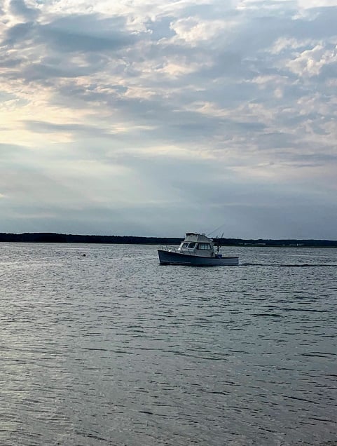 boat resized